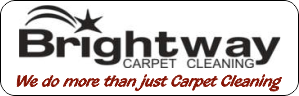A carpet cleaning company that is more than just carpets.